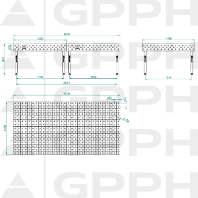 Lastafel ECO 3000x1480 mm fi28 100x100 op voeten Technische tekening