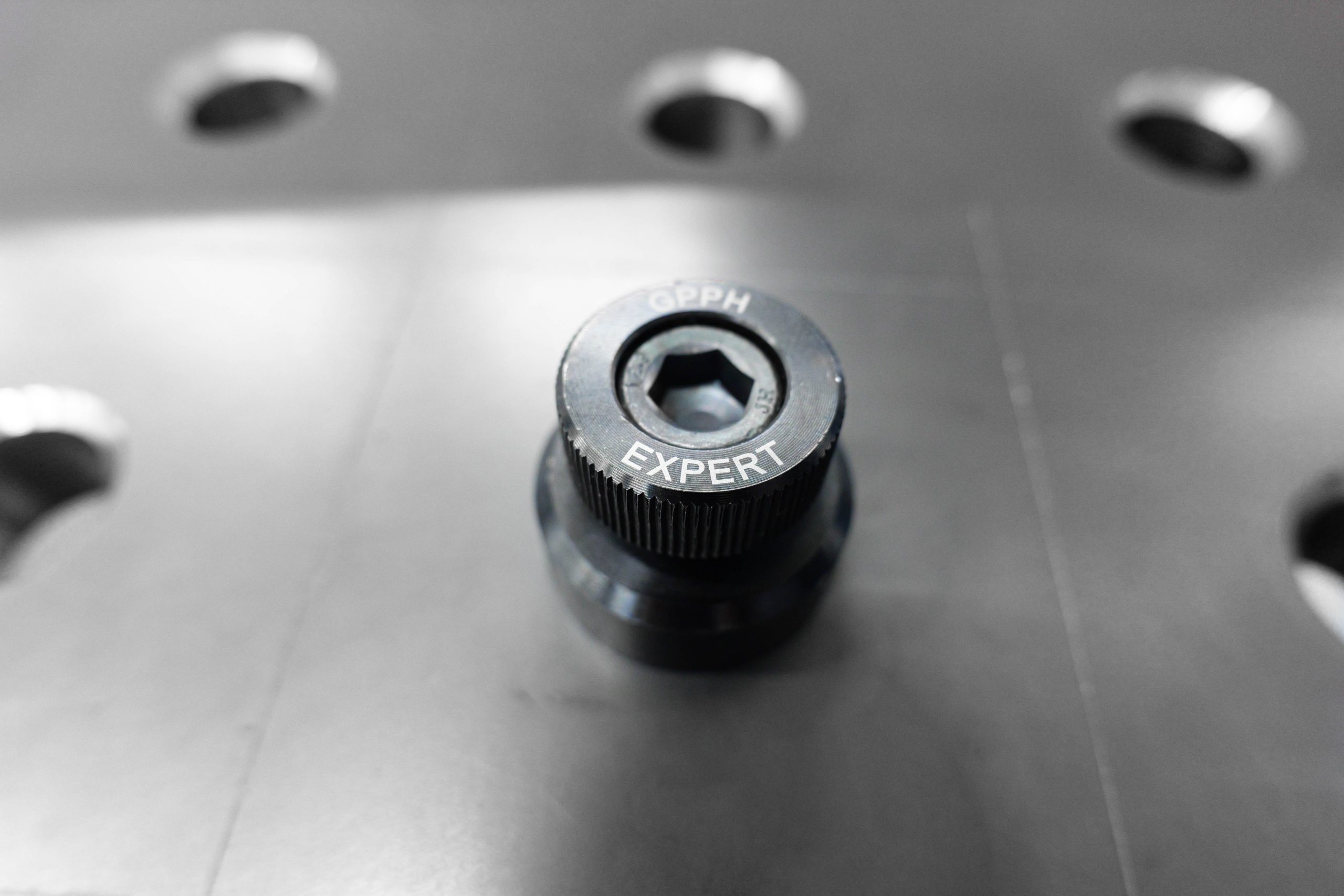 Pasador de fijación EXPERT