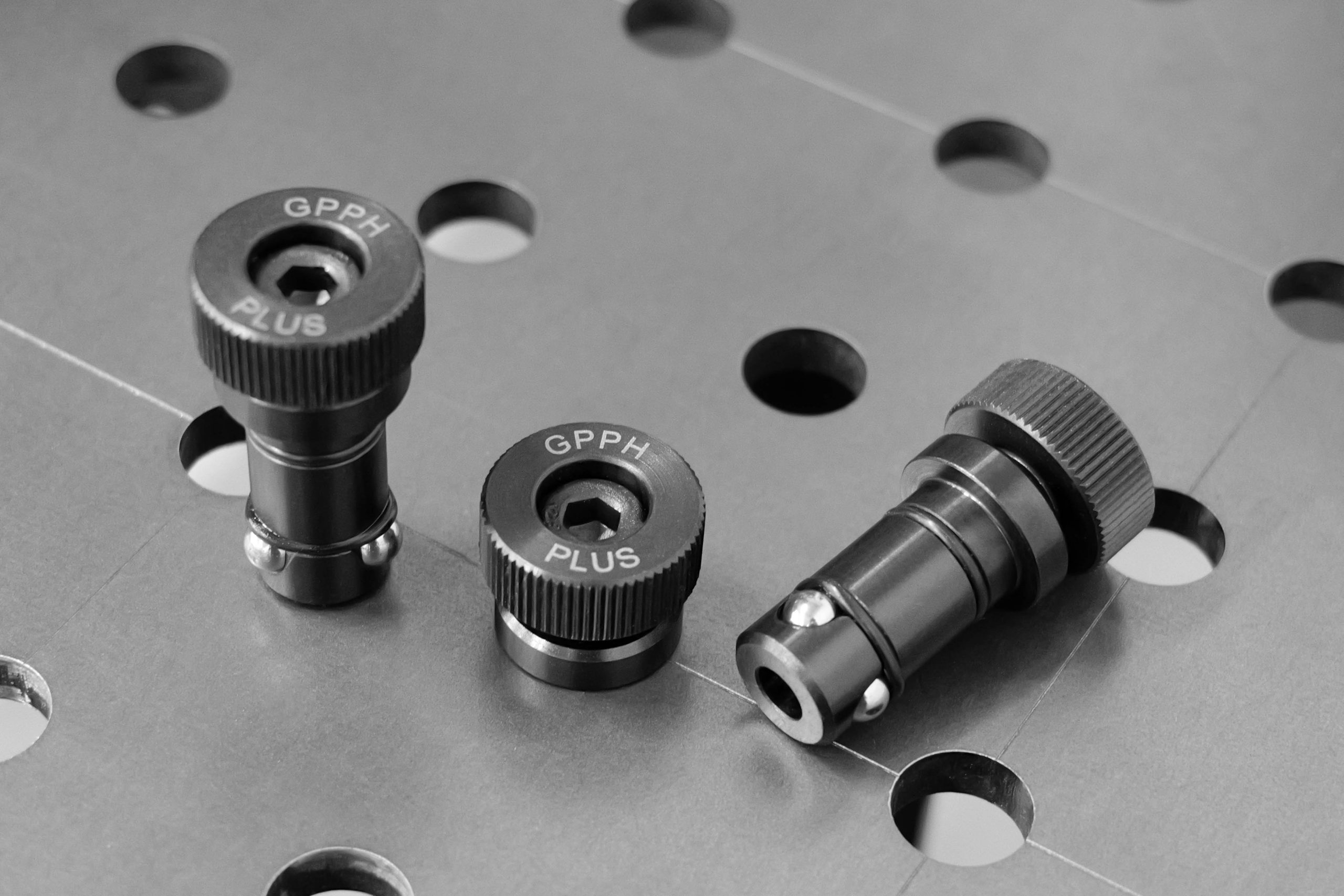 PLUS fixing pin - fi16 mm